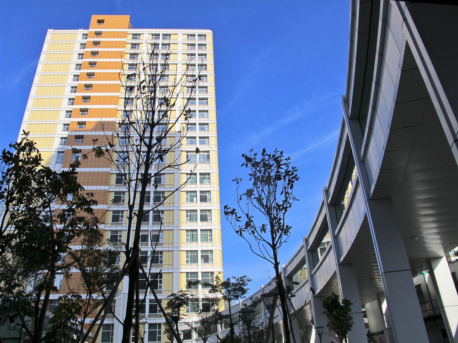 中山大学肿瘤防治中心院区